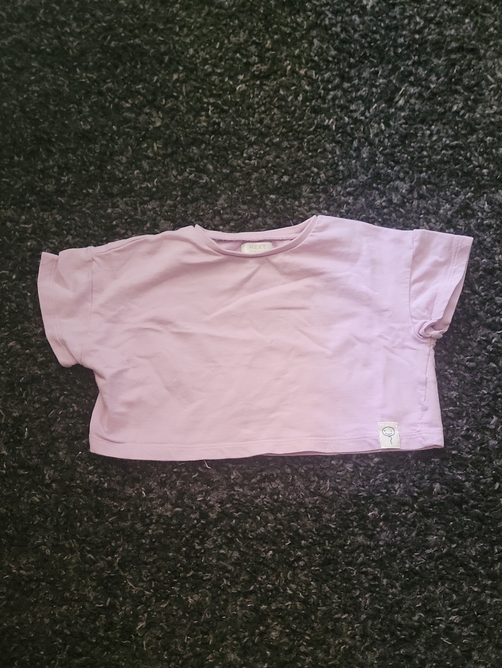 next Lilac Short Sleeve Crop Tee